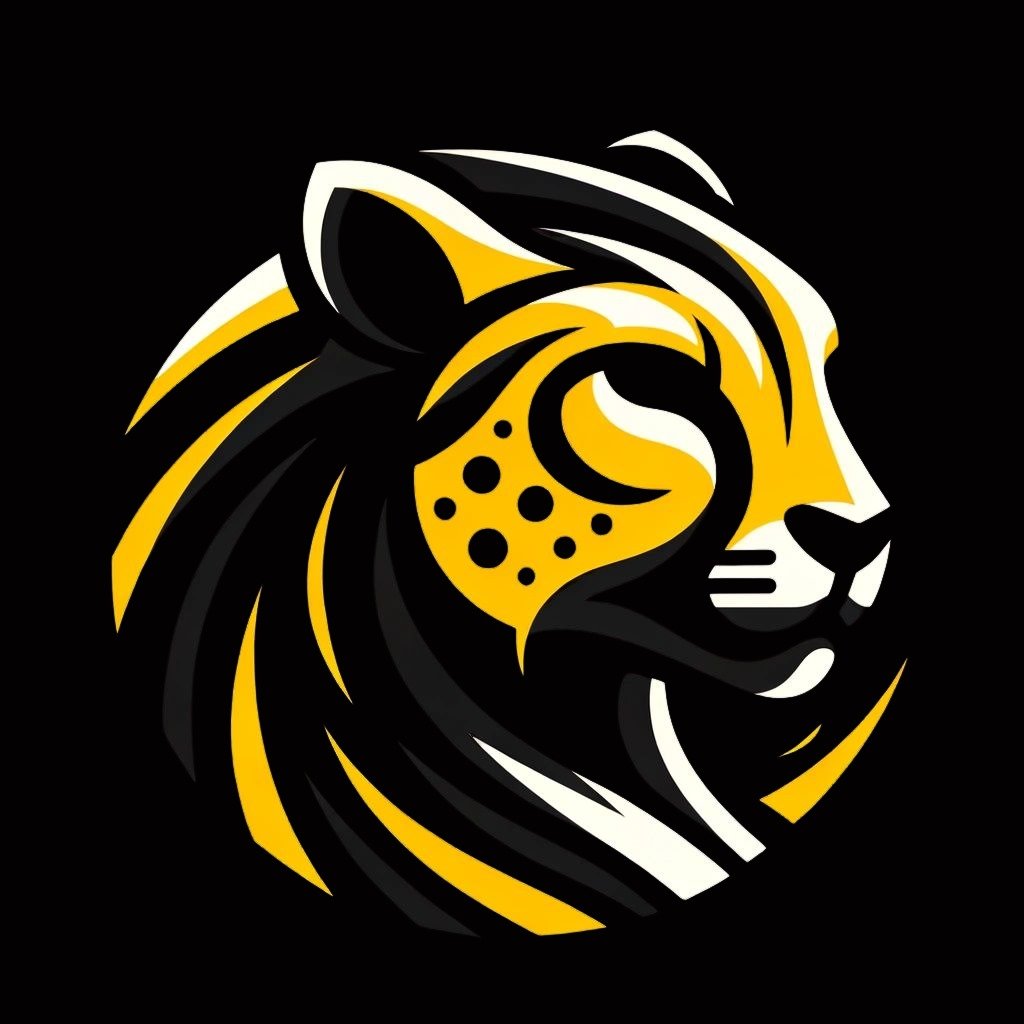 cheetapro.com